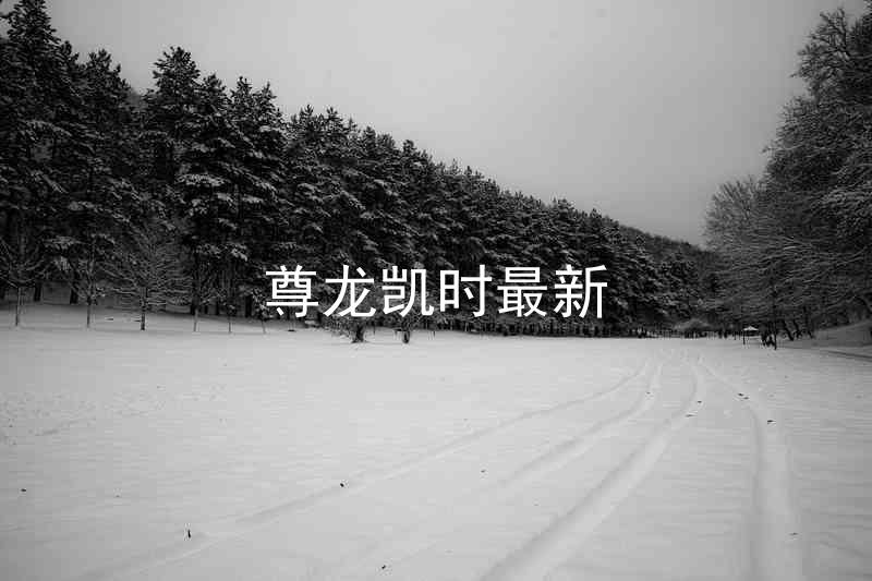 尊龙凯时最新