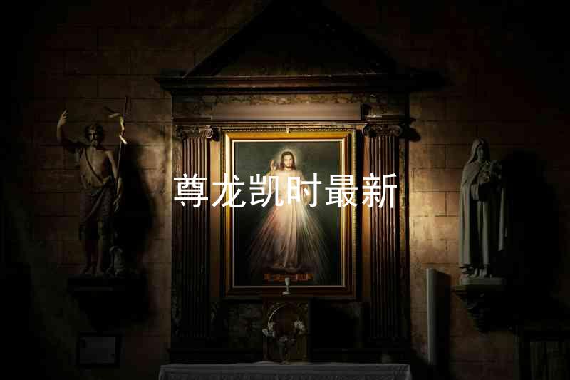 尊龙凯时最新