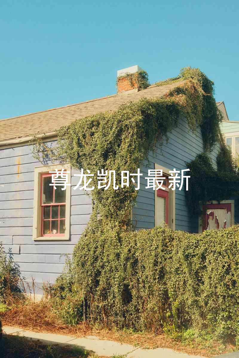 尊龙凯时最新