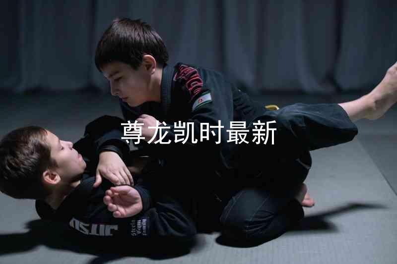 尊龙凯时最新